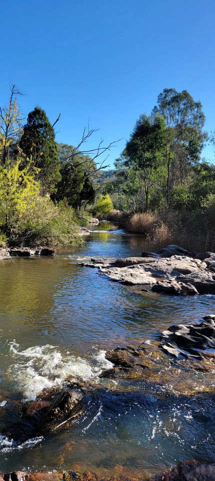 Breathtaking Cabin with Spectacular Interior, Deck, Jacuzzi and Countryside Views in Victoria