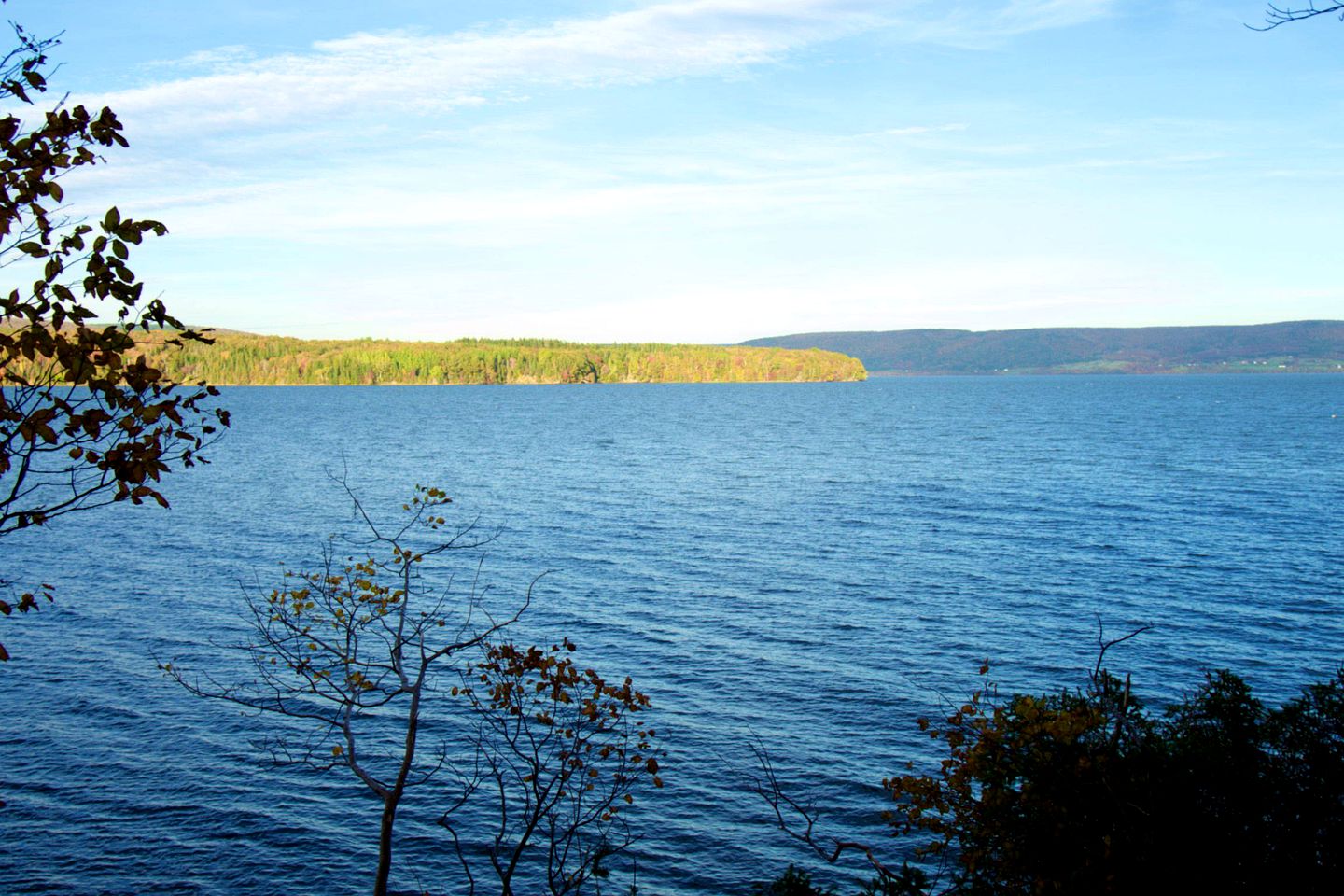 Lakeside Luxury Glamping: Cozy Tiny House in Scotsville, Nova Scotia