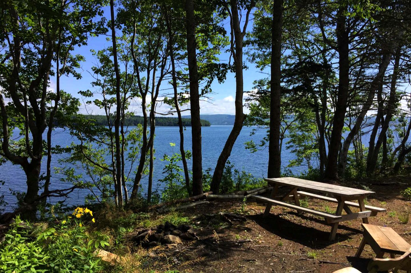 Lakeside Luxury Glamping: Cozy Tiny House in Scotsville, Nova Scotia