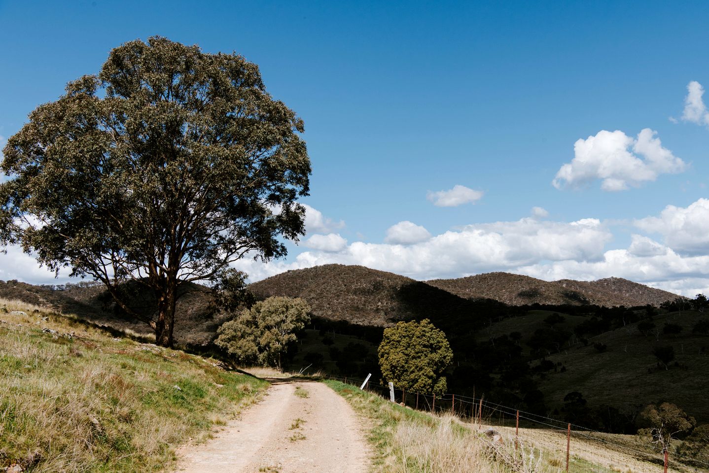 Wildnest Wilderness in Turondale, New South Wales