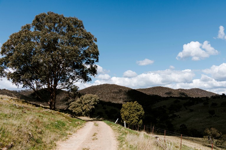 Tiny Houses (Australia, Turondale, New South Wales)