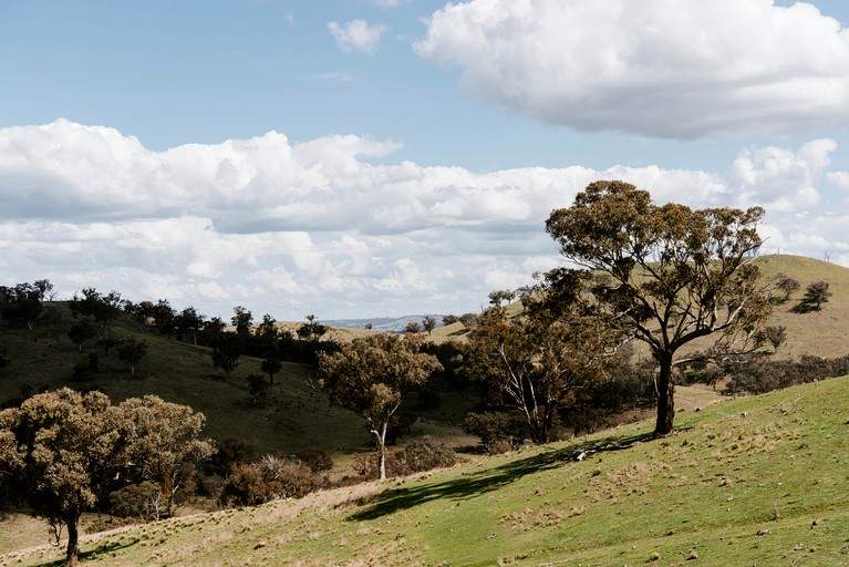 Tiny Houses (Australia, Turondale, New South Wales)