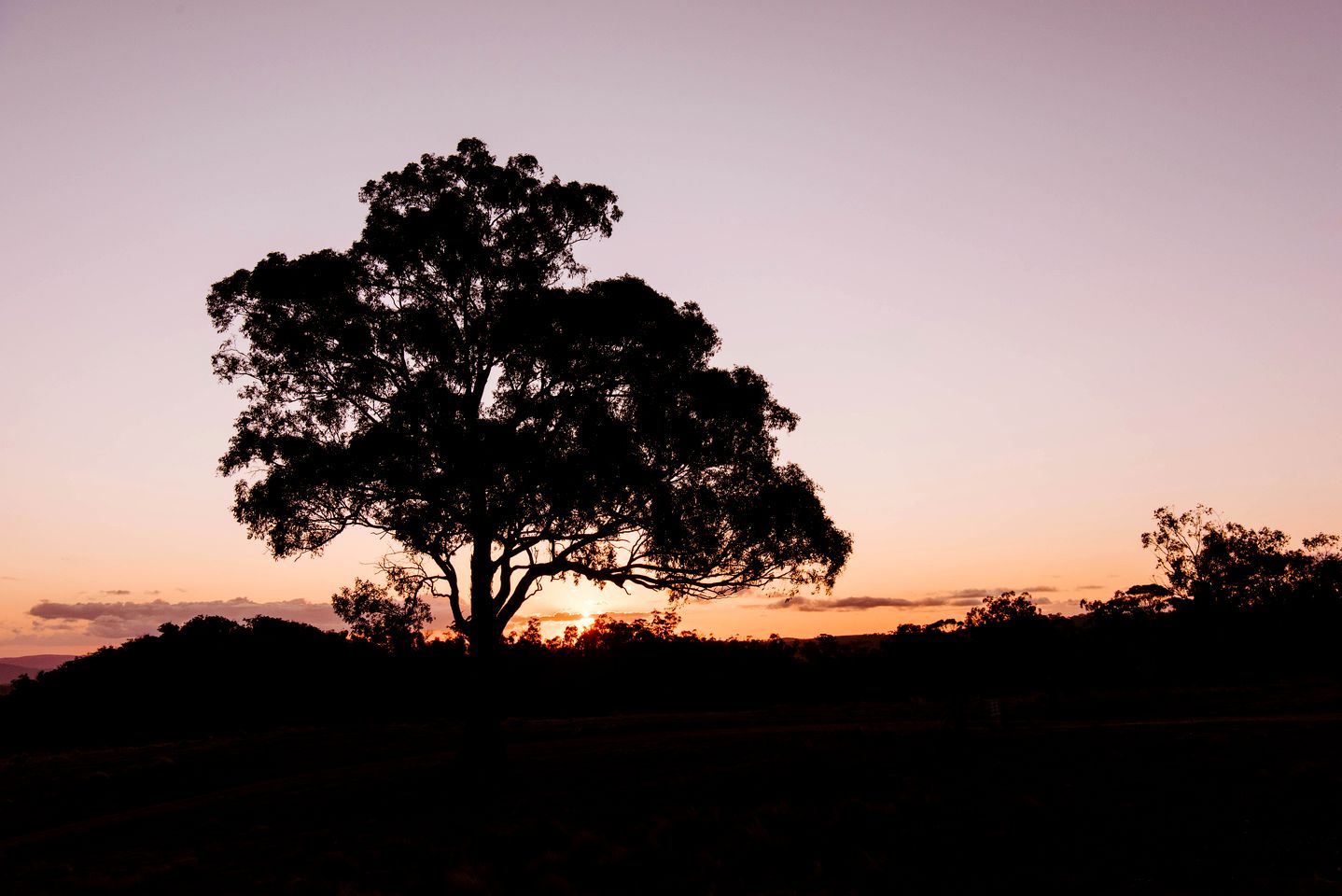 Wildnest Wilderness in Turondale, New South Wales