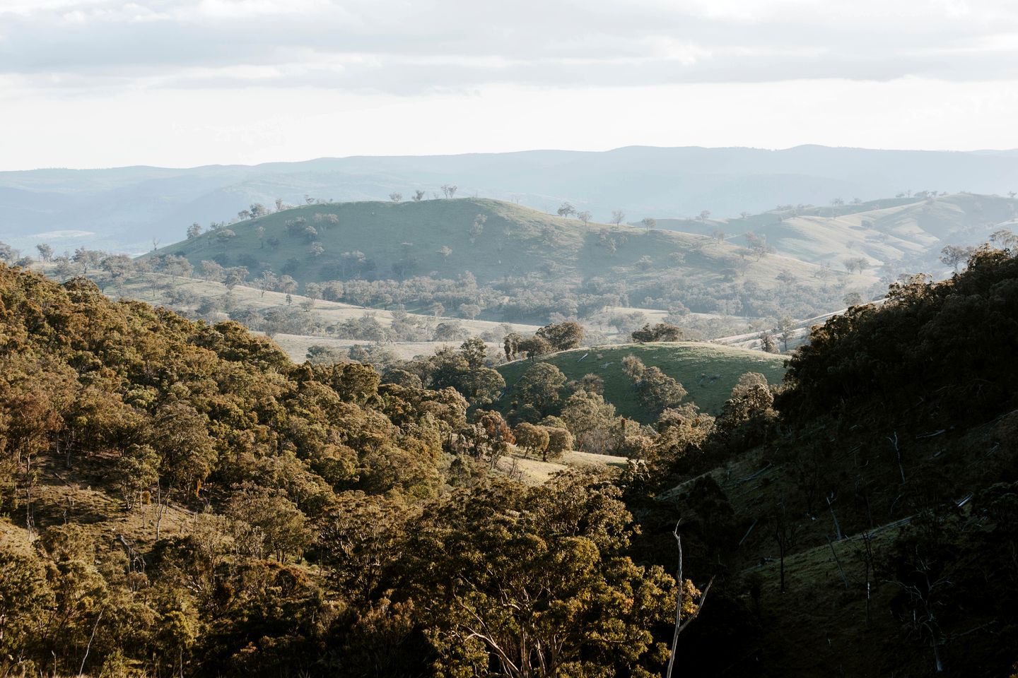 Wildnest Wilderness in Turondale, New South Wales