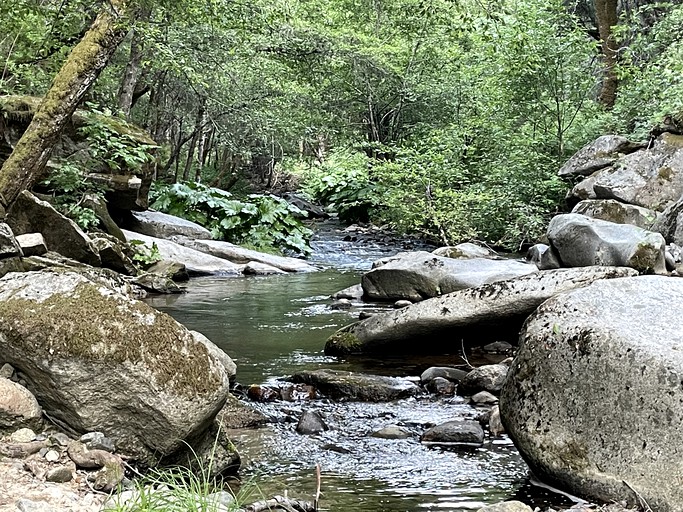 CLONED Rest and Relax in Nature from this Rustic Cabin Rental on Farm in North San Juan, California | Cabins (North San Juan, California, United State