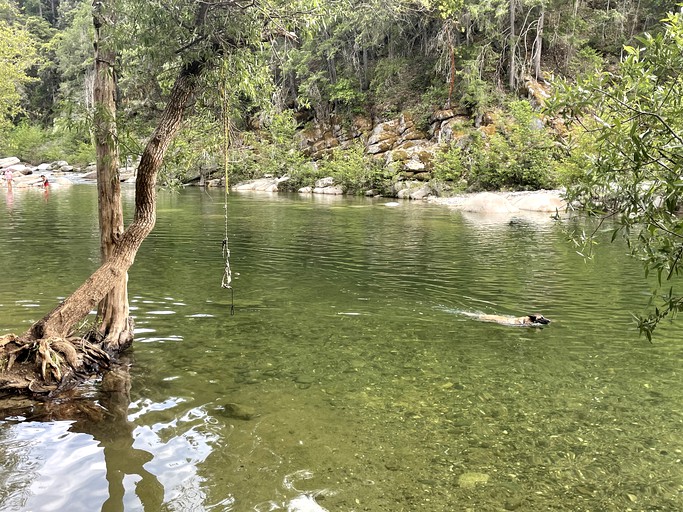 CLONED Rest and Relax in Nature from this Rustic Cabin Rental on Farm in North San Juan, California | Cabins (North San Juan, California, United State