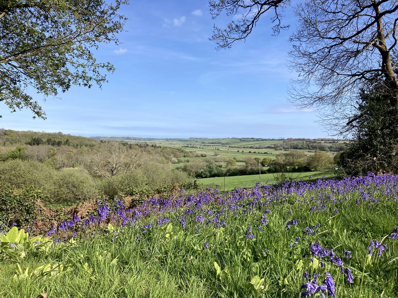 Magical Yurt Rental in the British Countryside - Perfect for Glamping In East Sussex