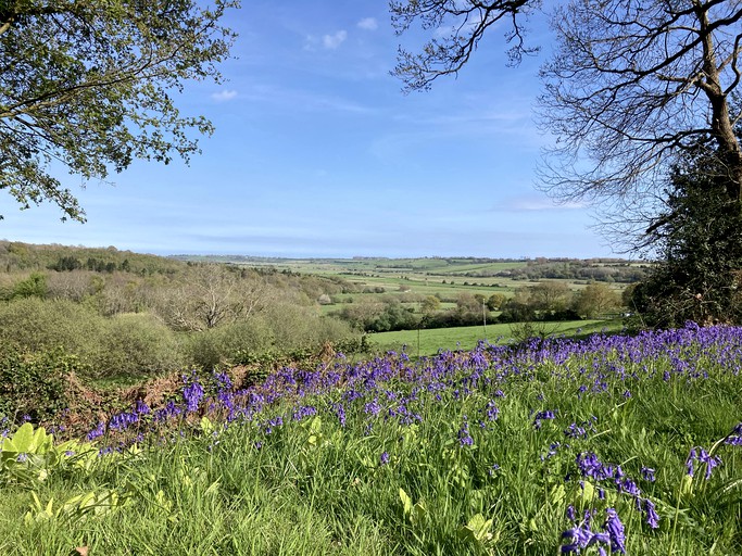 Yurts (United Kingdom, Rye, East Sussex)