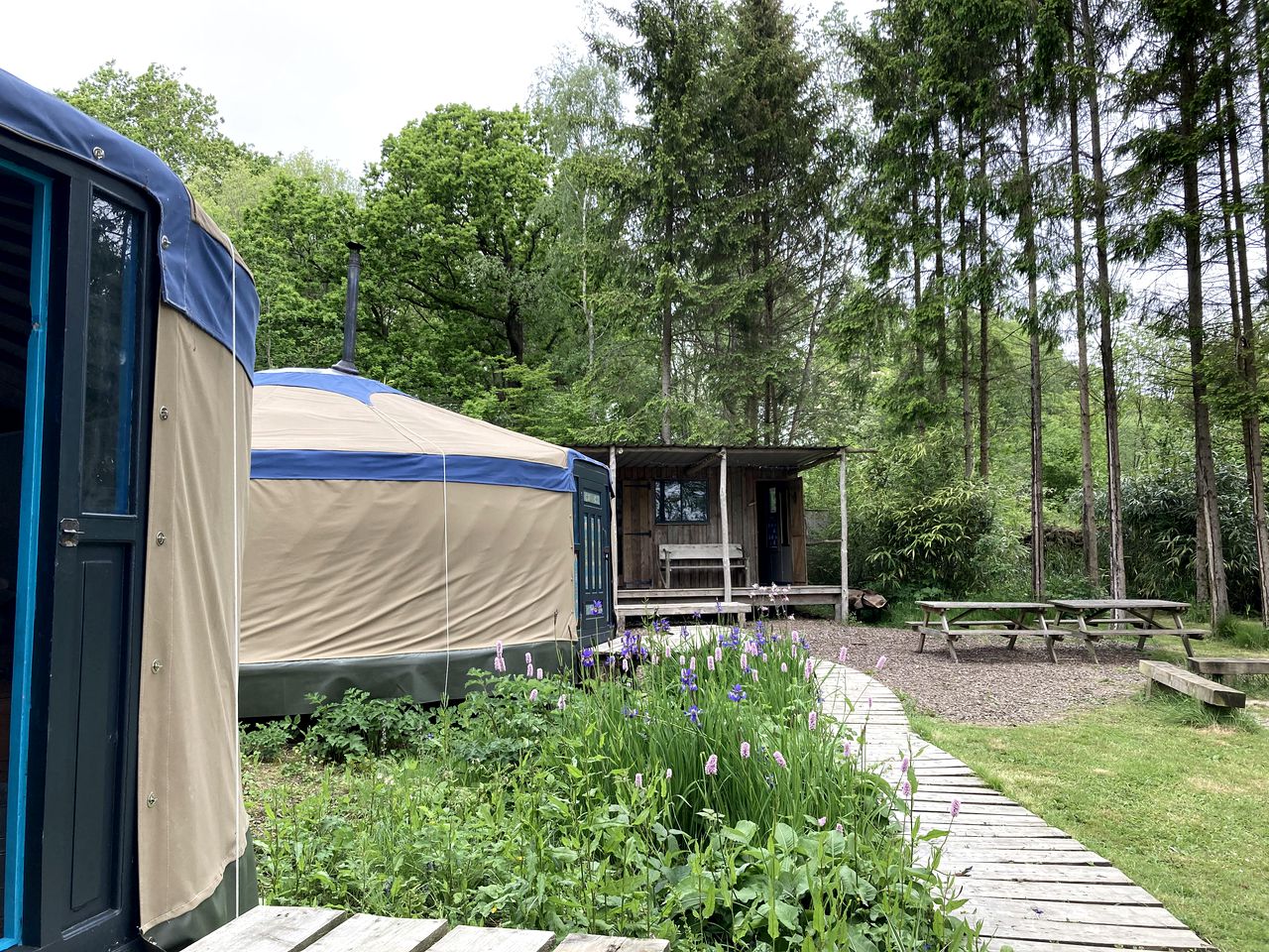 Magical Yurt Rental in the British Countryside - Perfect for Glamping In East Sussex