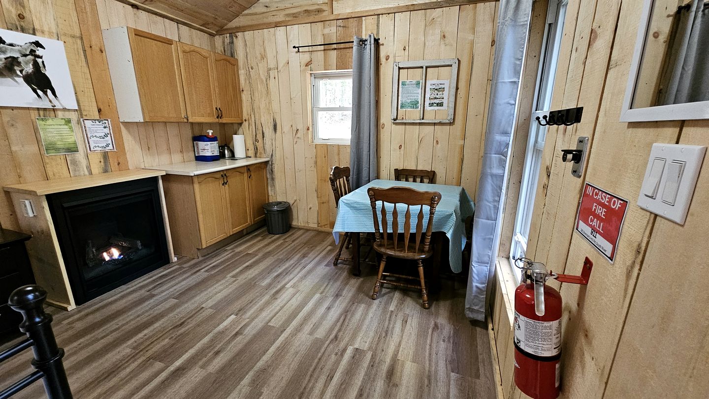 Eco-Friendly Off-Grid Cabins Nestled in the Forests of Northern Ontario, Perfect for a Rejuvenating Weekend in Nature