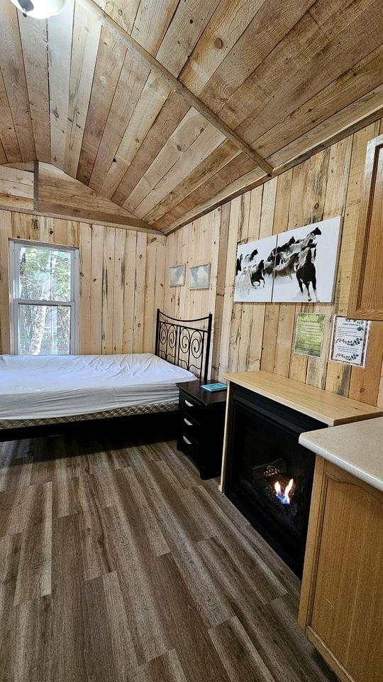 Eco-Friendly Off-Grid Cabins Nestled in the Forests of Northern Ontario, Perfect for a Rejuvenating Weekend in Nature