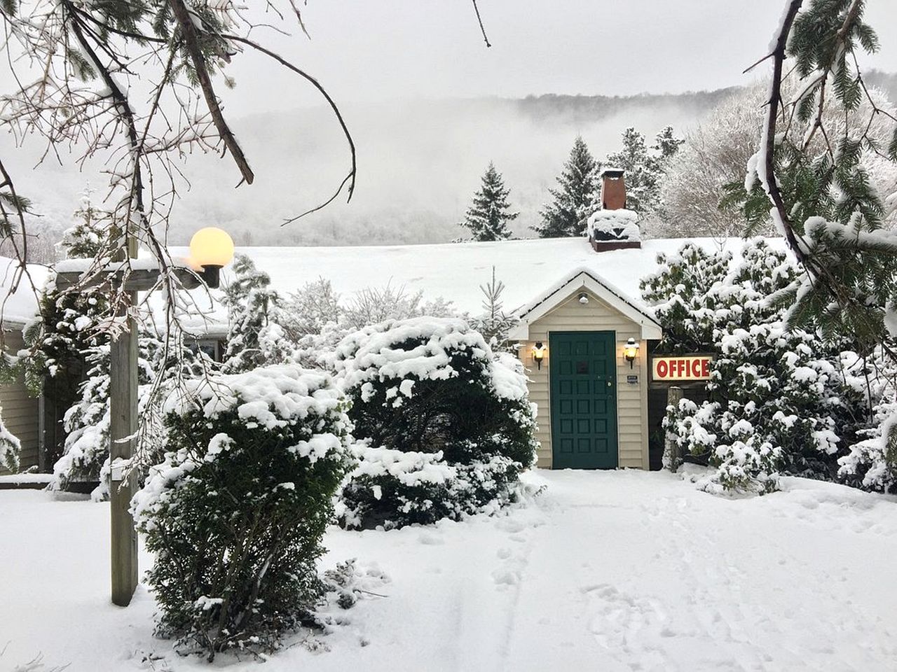 Homey Pet-Friendly Cabin Rental for Groups in the Catskills