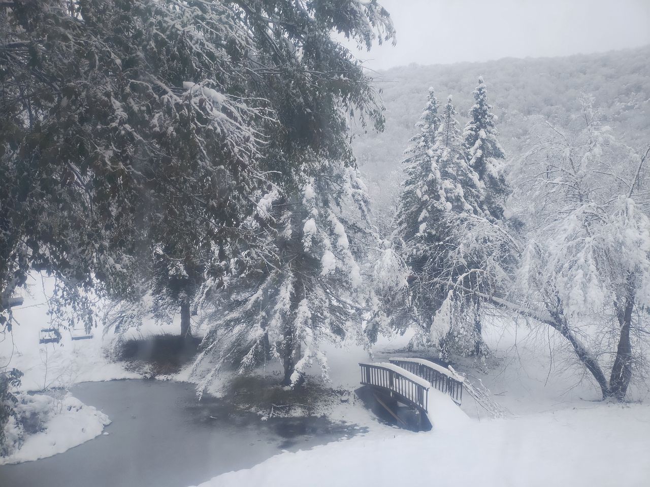 Homey Pet-Friendly Cabin Rental for Groups in the Catskills