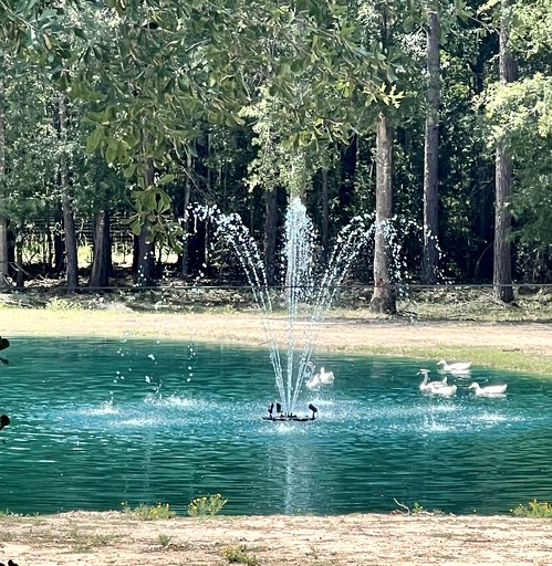 Tented Cabins (United States of America, Cleveland, Texas)