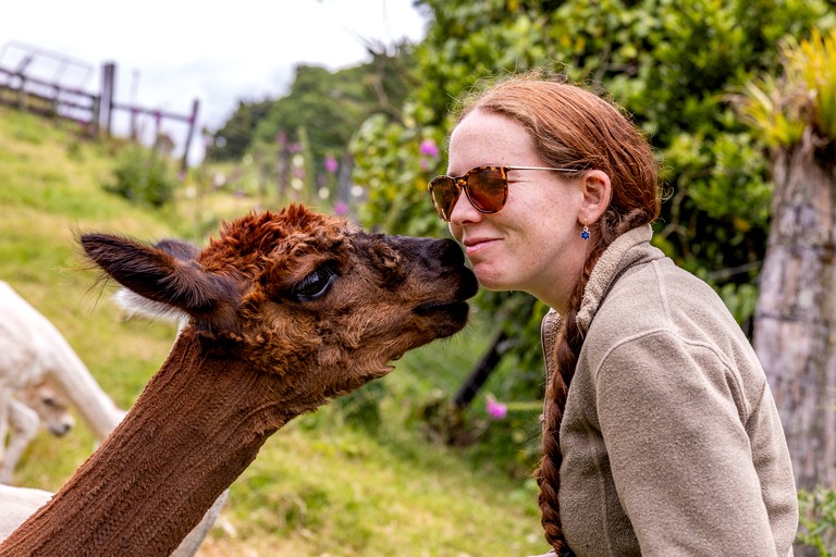 Tiny Houses (New Zealand, new plymouth, new plymouth)