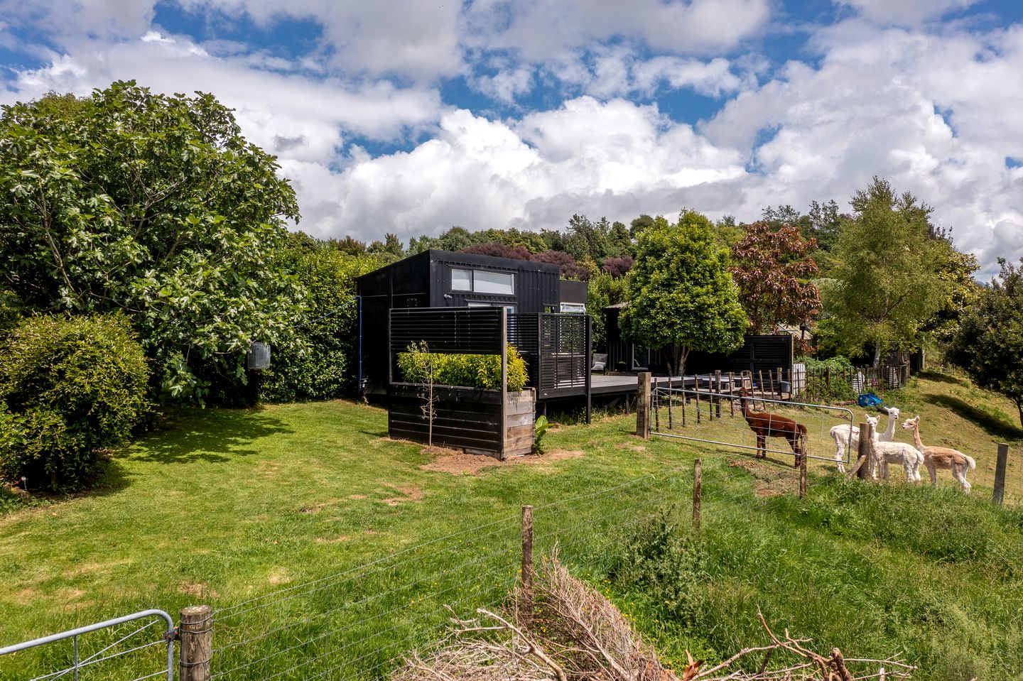 Charming Tiny House Surrounded by Trees in New Plymouth, North Island