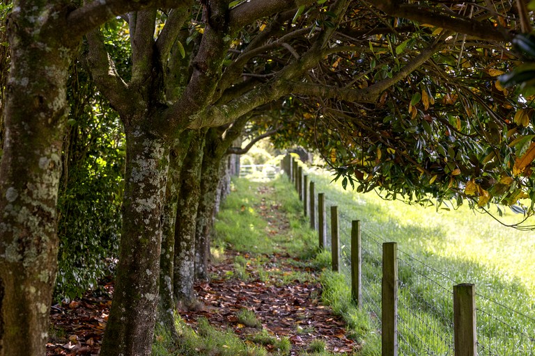 Tiny Houses (New Zealand, new plymouth, new plymouth)