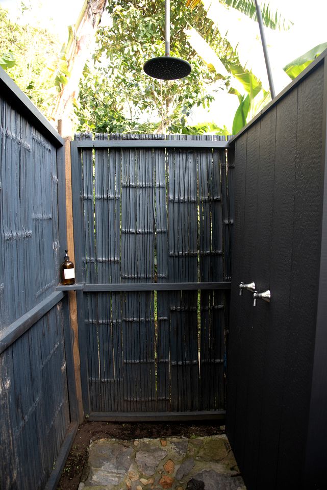 Breathtaking Tree Houses Nestled Among the Towering Trees in Colombia