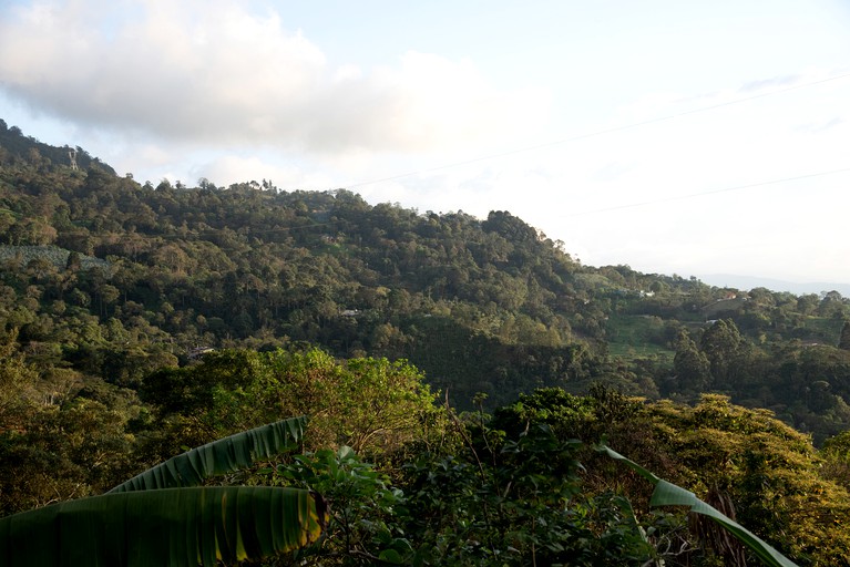 Tree Houses (Colombia, Zipcaon, Cundinamarca)