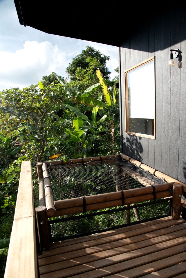 Breathtaking Tree Houses Nestled Among the Towering Trees in Colombia