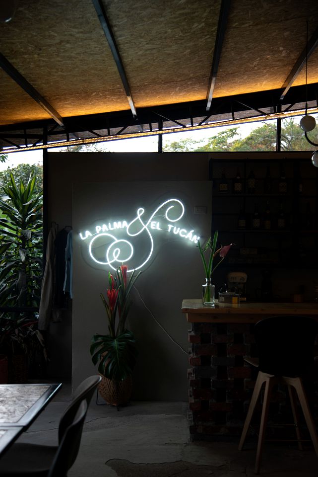 Breathtaking Tree Houses Nestled Among the Towering Trees in Colombia