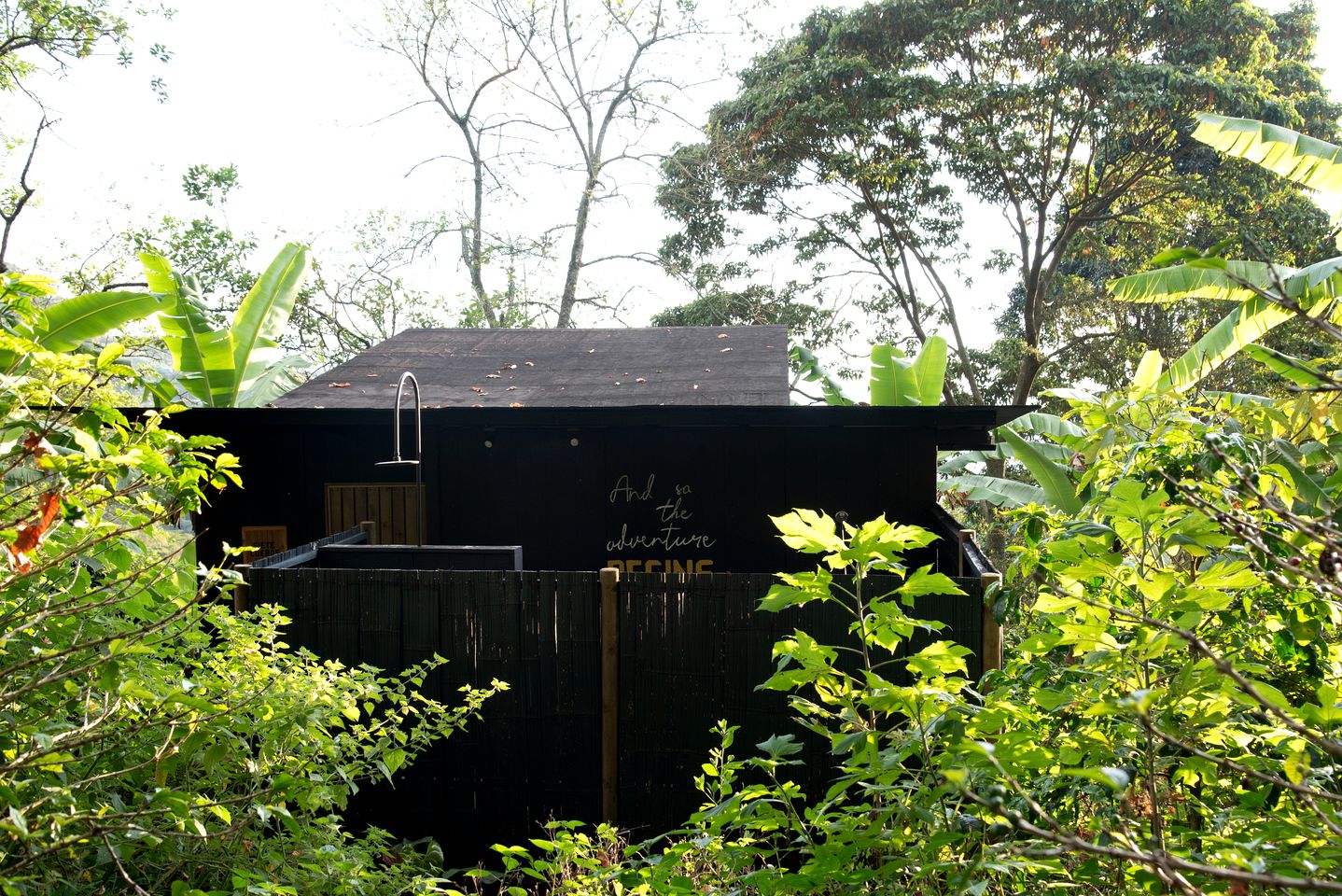 Breathtaking Tree Houses Nestled Among the Towering Trees in Colombia
