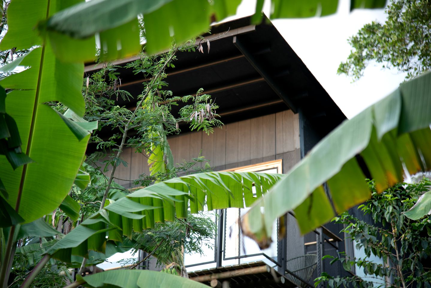 Tree Houses (Colombia, Zipcaon, Cundinamarca)