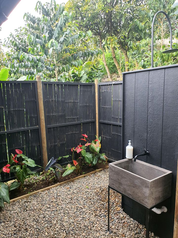 Breathtaking Tree Houses Nestled Among the Towering Trees in Colombia