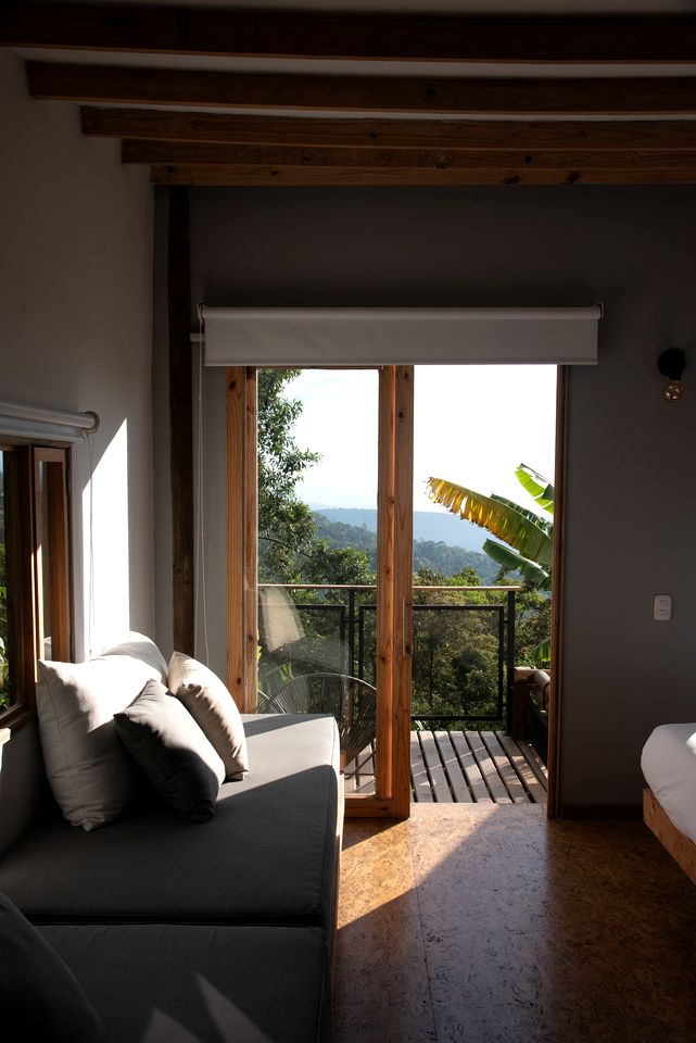 Breathtaking Tree Houses Nestled Among the Towering Trees in Colombia