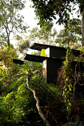 Breathtaking Tree Houses Nestled Among the Towering Trees in Colombia