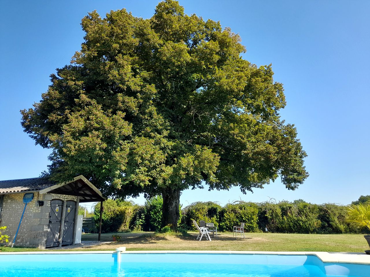 Charming Bell Tent Rental in the French Countryside, Ideal for Family Vacations in Nouvelle-Aquitaine