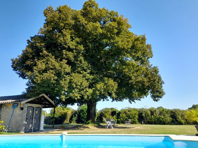 Bell Tents (France, Merignac, Nouvelle-Aquitaine)