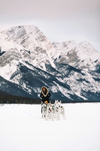 Tented Cabins (Canada, Canmore, Alberta)