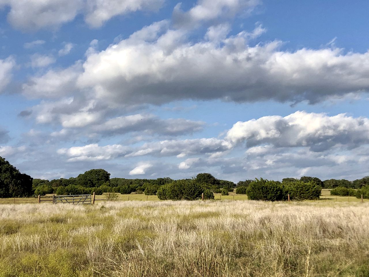 Texas Glamping Vacations in this Charming Caravan Rental in Dripping Springs