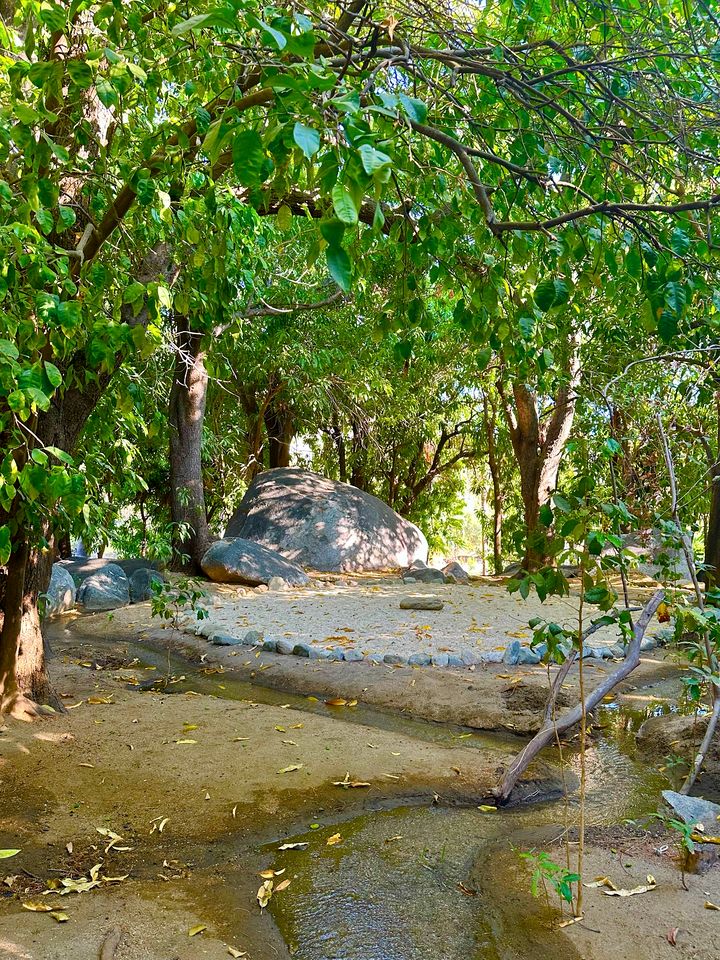 Incredible Multi-Unit Property on a Tropical Fruit Farm with Private Pool for an Amazing Group Getaway in Baja California Sur, Mexico