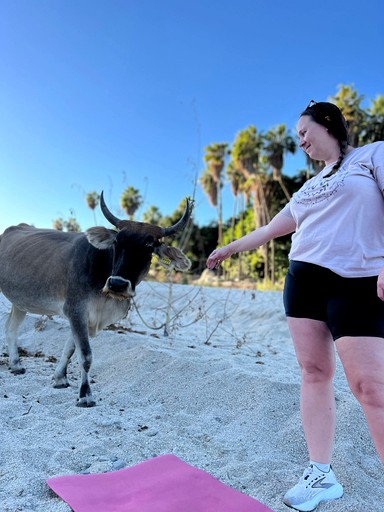 Vacation Rentals (Mexico, San Bartolo, Baja California Sur)