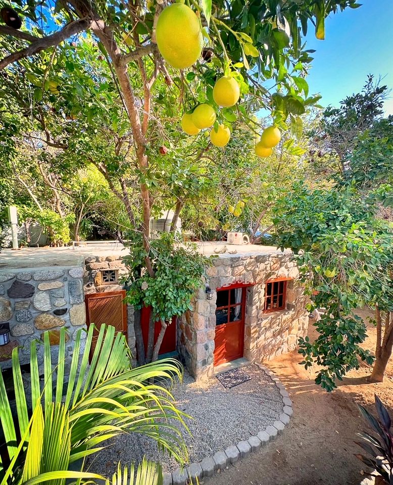 Incredible Multi-Unit Property on a Tropical Fruit Farm with Private Pool for an Amazing Group Getaway in Baja California Sur, Mexico