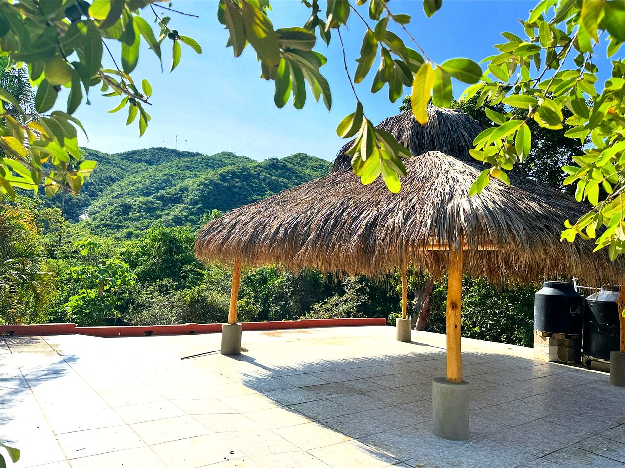 Incredible Multi-Unit Property on a Tropical Fruit Farm with Private Pool for an Amazing Group Getaway in Baja California Sur, Mexico