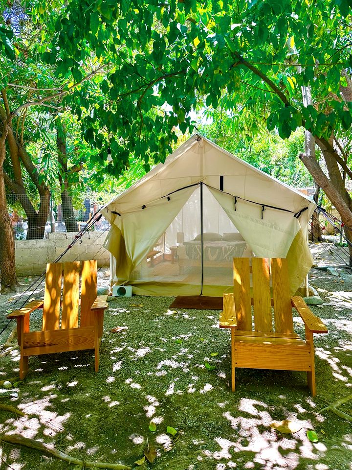 Incredible Multi-Unit Property on a Tropical Fruit Farm with Private Pool for an Amazing Group Getaway in Baja California Sur, Mexico