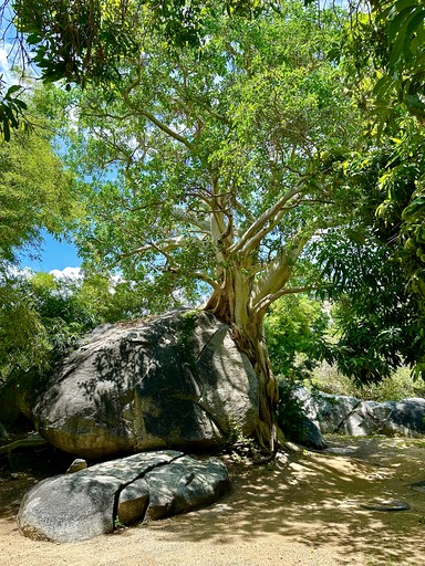 Vacation Rentals (Mexico, San Bartolo, Baja California Sur)