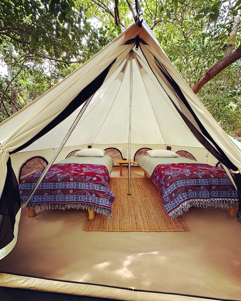 Incredible Multi-Unit Property on a Tropical Fruit Farm with Private Pool for an Amazing Group Getaway in Baja California Sur, Mexico