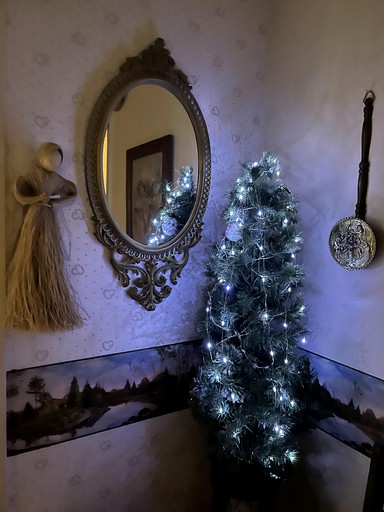 Cottages (United States of America, Forks, Washington)