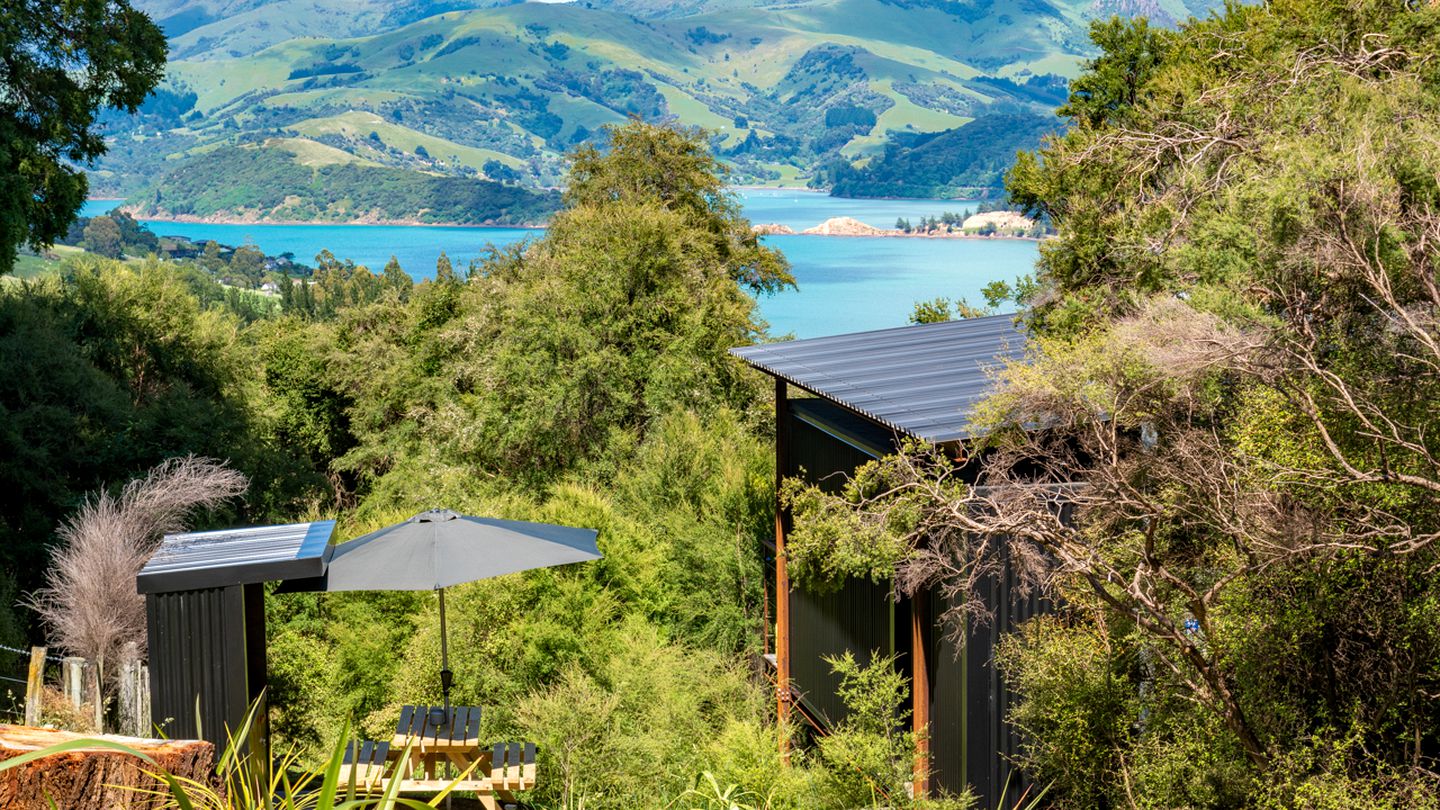 Gorgeous Romantic Tiny Hut Nestled Among the Towering Trees in NZ