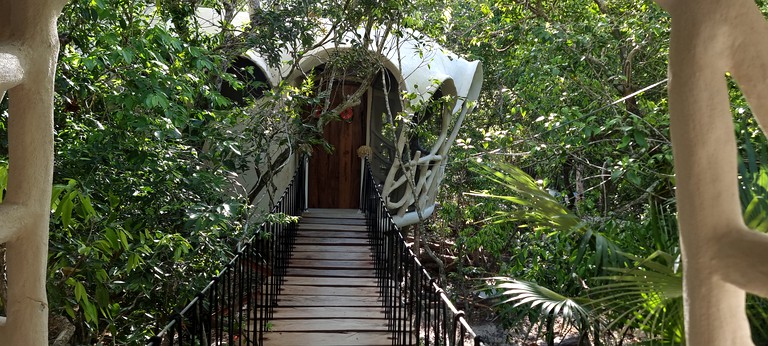 Eco-Friendly Tree Houses Perfect for a Unique Romantic Getaway in Mexico
