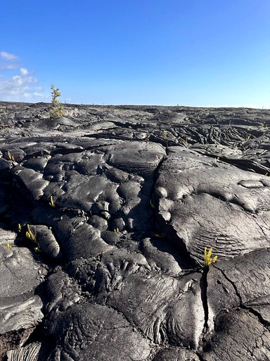 Domes (United States of America, Pahoa, Hawaii)