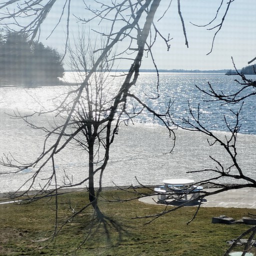 Cottages (Canada, Fenelon Falls, Ontario)