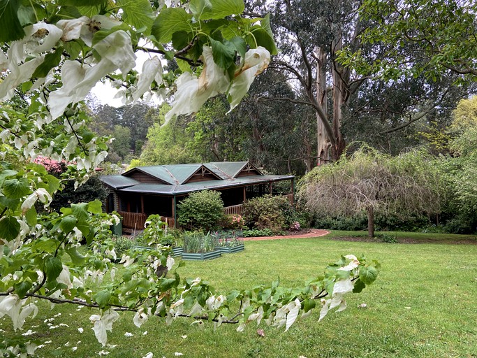 Log Cabins (Australia, Olinda, Victoria)