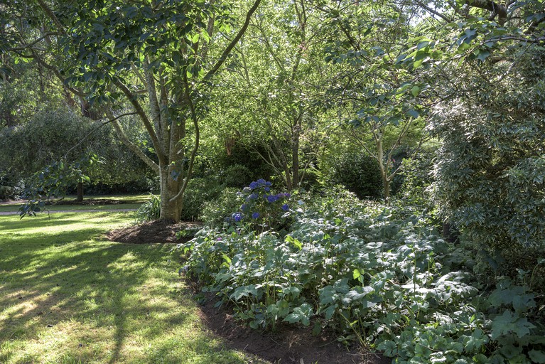 Log Cabins (Australia, Olinda, Victoria)