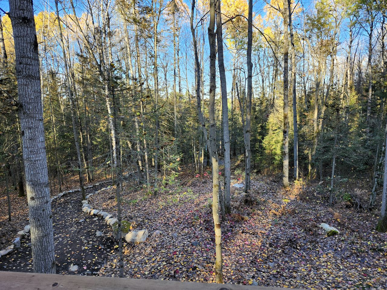 Unique Tree House Perfect for Families with BBQ in Callander, Ontario