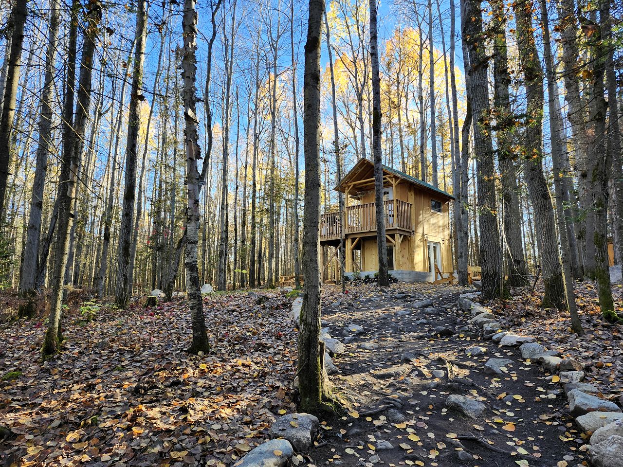Unique Tree House Perfect for Families with BBQ in Callander, Ontario